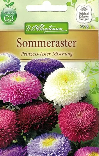 Chrestensen Sommeraster 'Prinzess-Aster-Mischung'
