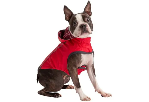 GF Pet Elastofit Regenmantel für Hunde, rot - 2XS - Hundemäntel mit Elasto-Fit Technologie für optimale Passform, wasserdicht und beidseitig tragbar. Schützen Sie Ihren Hund stilvoll bei jedem Wetter!