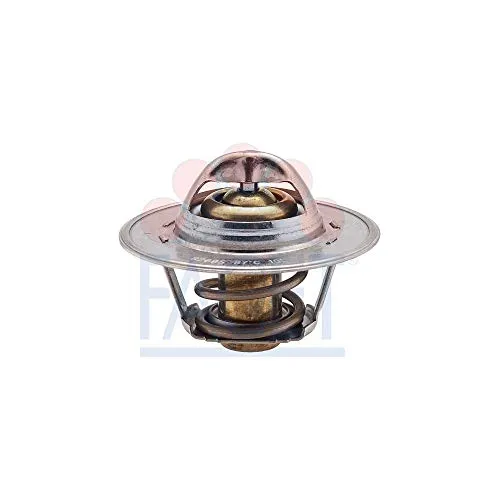 Facet Thermostat, Kühlmittel Made in Italy