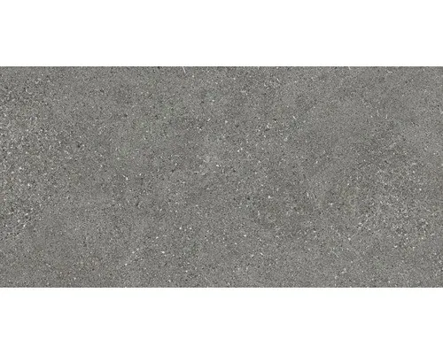 Feinsteinzeug Wand- und Bodenfliese Alpen Grau matt rektifiziert 30 x 60 x 0,9 c