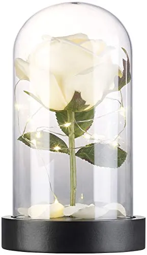 Lunartec LED Rose im Glas: Edle Kunst-Rose mit LED-Beleuchtung in Echtglas-Kuppel, weiß (Ewige, Beleuchtete, Pflanzen Licht)