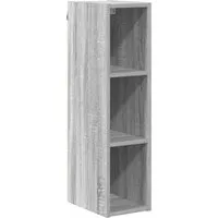 vidaXL Hängeschrank Riga Graues Sonoma 20 x 29,5 x 80 cm Holzwerkstoff 884431
