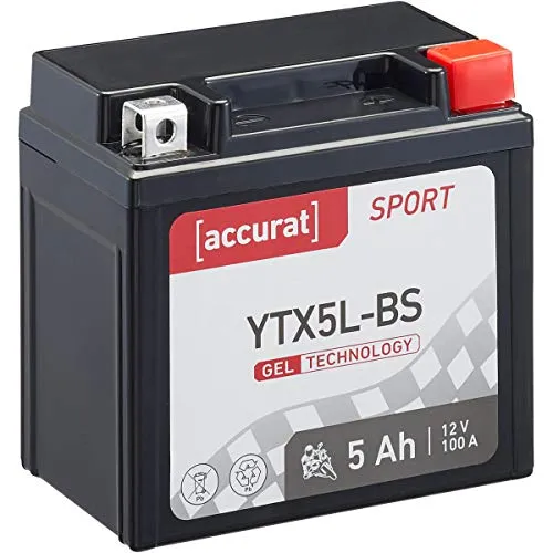 Accurat Motorradbatterie YTX5L-BS
