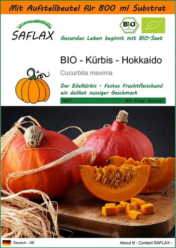 SAFLAX Gemüsesamen SAFLAX - Garden in the bag - BIO - Kürbis - Hokkaido