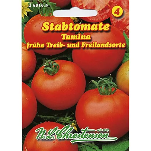 Tomate Tamina Stabtomate frühreifende Sorte, mittelgroße Früchte , ertragreich