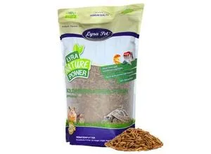 Lyra Pet® Soldatenfliegenlarven 5 kg - Vogelfutter: Proteinreiche, getrocknete Soldatenfliegenlarven für gesunde Vögel, Reptilien und Nagetiere. Unterstützt Wachstum und Knochenbildung, umweltfreundlich und ganzjährig verfügbar.