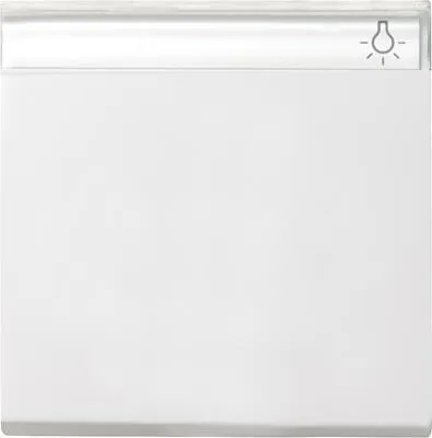 Gira 029903 Wippe mit Beschriftungsfeld für Wippschalter und Wipptaster, E22