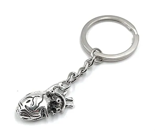 H-Customs Herz anatomisch Organ silber Schlüsselanhänger Anhänger