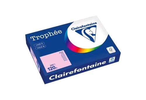CLAIREFONTAINE Kopierpapier Kopierpapier 1210PC A4 120g rosa 250 Blatt
