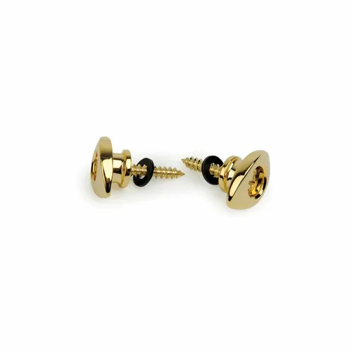 D'ADDARIO Elliptical End Pins Gold