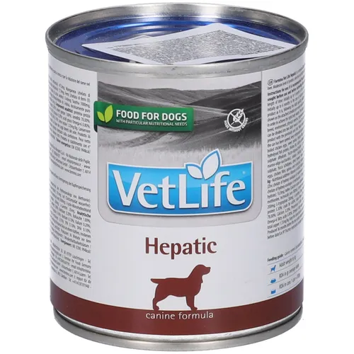 Nassfutter Hund Farmina VetLife - Hepatic