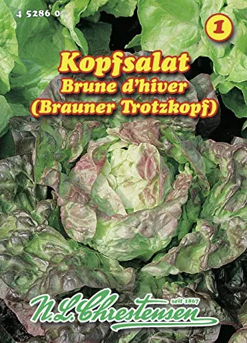 Kopfsalat Brauner Trotzkopf (Portion)