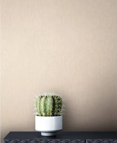 Newroom Vliestapete, Beige Tapete Uni Einfarbig in silber von Newroom