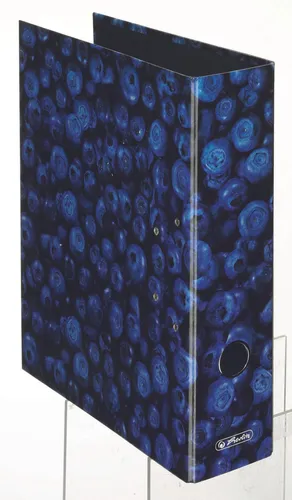 herlitz Motivordner Rückenbreite 8 cm DIN A4 Karton Motiv 11080660