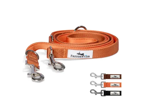 Freudentier Hundeleine 2m, verstellbar & gepolstert, Führleine aus Nylon, für mittelgroße & große Hunde