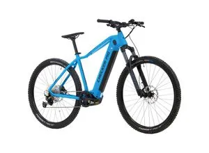 Checker Pig Active Pig E-Bike 29 Zoll von Checker Pig