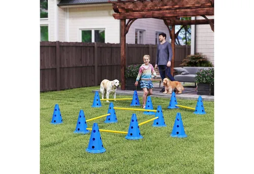 PawHut Agility-Hürde mit Kegel, Stangen, Tragetasche, Kunststoff, Agility Set (6-tlg) für Hundetraining, Spiele, Training, Blau