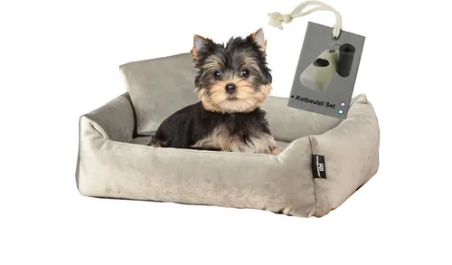 Rohrschneider Hundebett Kuschelsofa aus Samtstoff - Tierbetten für Hunde, kuschelig und langlebig mit abnehmbarem Bezug, idealer Ruheplatz mit hohem Rand und inklusive Gassibeutelset.