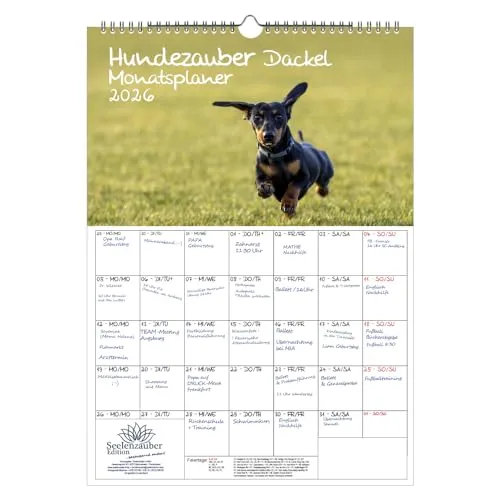 Hundezauber Dackel Planer DIN A3 Kalender für 2026 Welpen und Hunde - Seelenzauber