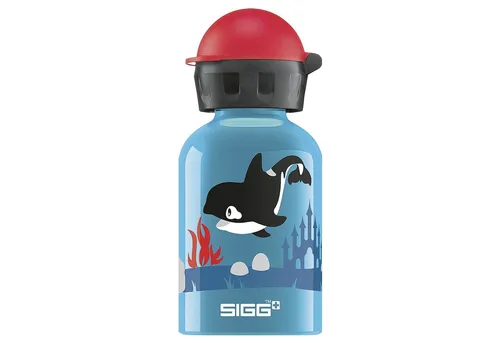 SIGG Trinkflasche 