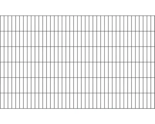 Doppelstab-Gittermatte Typ 6/5/6, 2000 mm x 1200 mm