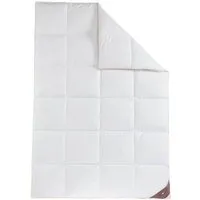 Produktbild HÄUSSLING Royal Daunen-Kassettenbettdecke warm (155 x 220 cm)