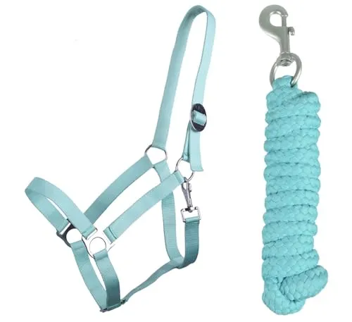 ARBO-INOX Halfter-Set Beginner - Halfter + Führstrick mit Karabinerhaken verstellbar (Cob Vollblut, Rot)