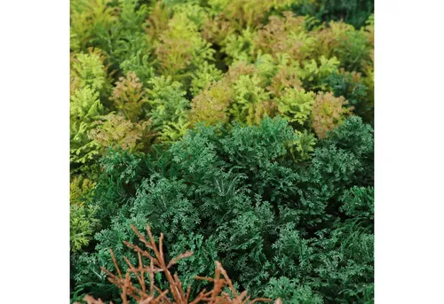 Kunstpflanzen Wand MOOS | Mix | 100x100 cm - Gartenverzierungen: UV-beständige und 100% recyclebare Kunstpflanzen Wand für eine frische, natürliche Atmosphäre in Innen- und Außenbereichen.
