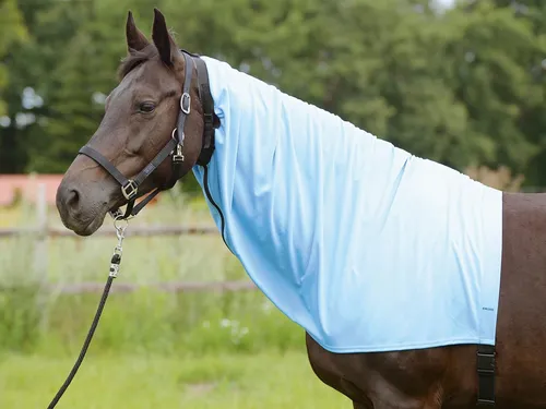 BUSSE Ekzemerdecke Halsteil Extensive Zip - hellblau - Reit- & Pferdebedarf, schützende Ekzemerdecke für Pferde mit Halsteil, ideal für empfindliche Tiere und optimalen Komfort.