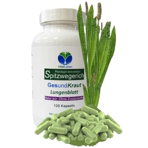 SPITZWEGERICH 120 Kapseln - Natürliche Unterstützung für Lunge und Atemwege - Pflanzliche Ergänzungsmittel zur Förderung der Atemwege, 100% NATUR pur ohne Zusatzstoffe, ideal auch während der Rauchentwöhnung.