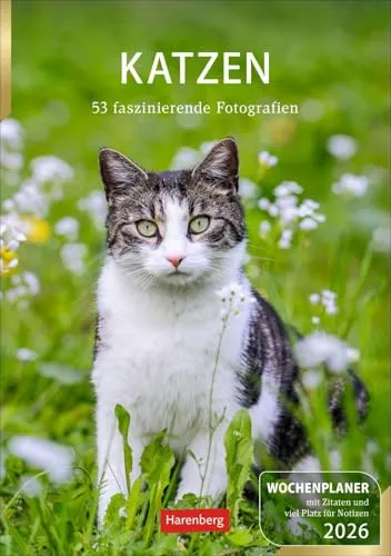 Katzen Wochenplaner 2026 - 53 faszinierende Fotografien - Wandkalender für Katzenliebhaber mit 53 süßen Katzenfotos und Platz für Notizen. Ideal zur Organisation im Jahr 2026!