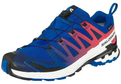 Salomon XA Pro 3D V9 GTX Equipe Herren Traillaufschuhe in blau von Salomon
