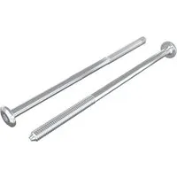 vidaXL Möbel-Schrauben 2 Stk Silber M6 x 120 mm Stahl 864406