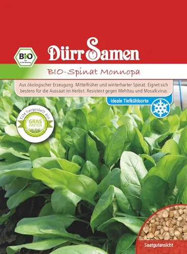 Bio Spinat Samen Monnopa Spinatsamen ca 2500 Korn Saatgut Gemüse Gründüngung Balkon Garten Hochbeet Kübel Dürr Samen