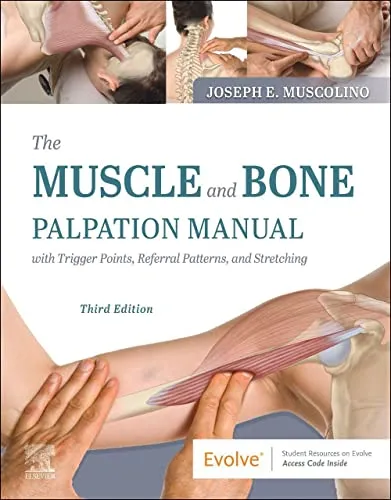 The Muscle and Bone Palpation Manual: Trigger Points & Stretching - Medizin: Umfassendes Nachschlagewerk für Triggerpunkte, Überweisungsmuster und effektives Dehnen für Therapeuten und Mediziner.