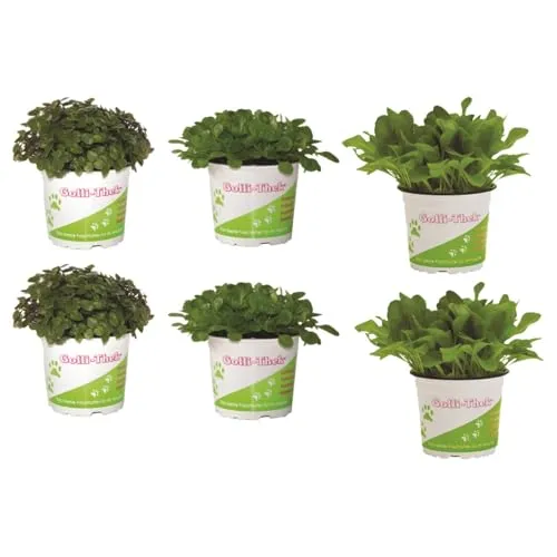 Pflanzen Set für Echsen/Schildkröten