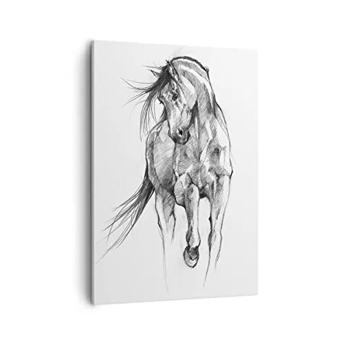 Bilder auf Leinwand Pferd Galopp Tier Leinwandbild mit Rahmen 50x70cm Wandbilder Dekoration Wohnzimmer Schlafzimmer Küche Deko Groß Wanddeko Bild Wand Kunstdruck Art Wall Decor Canvas PA50x70-5080
