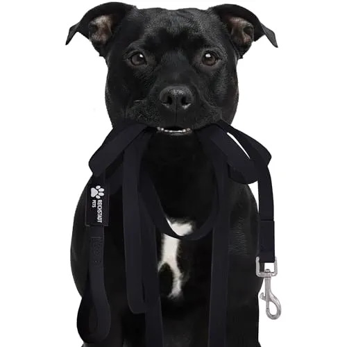 Reichstadt Pets Robuste PVC texturierte Hundeleine für Hunde – wasserabweisend, rutschfeste Oberfläche | 360° Edelstahl-Karabiner, pflegeleicht & wetterfest 25RSP085 Black 5m