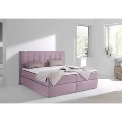 Betten & Bettgestelle Pink von Home Affaire