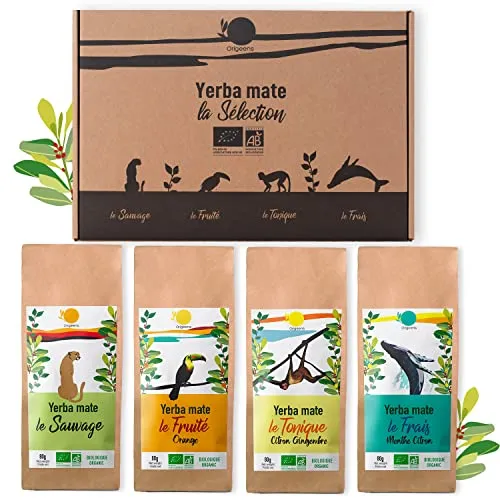 ORIGEENS GESCHENKSET BIO MATE TEE x4 I Bio Yerba Mate 4x80g : Grüner Matetee, Zitronen-Ingwer-Mate, Minze-Zitrone-Mate, Orange-Mate I Yerba Mate Tee Set, Geschenkidee (Entdeckungsset)