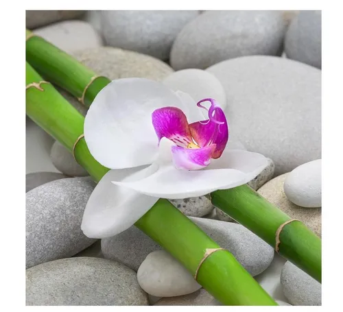 Levandeo® Wandbild, levandeo Glasbild 30x30cm Orchideen Wandbild Bambus Glas Wellness