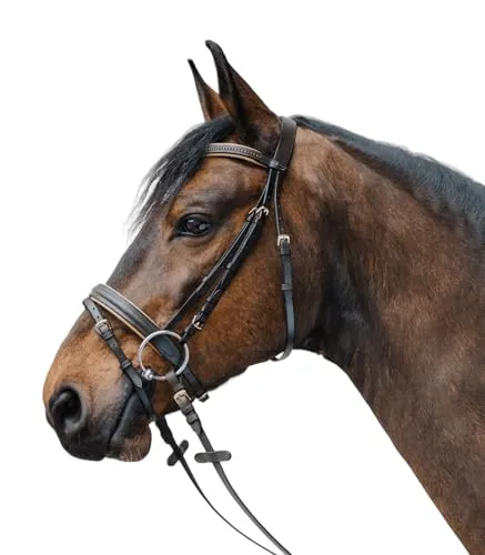 WALDHAUSEN Star Trensenzaum Diamond ENGL.Komb., braun/Gold, Minishetty