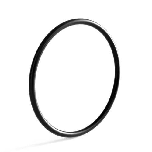 SunSun Ersatzteil Auslass O-Ring für Bio Teichfilter CBF-350B – Durchlauffilter Teich bis 60.000 L Teichvolumen – bis 10000 l/h – 2 Kammer-System Teich Filter Biofilter Koiteich