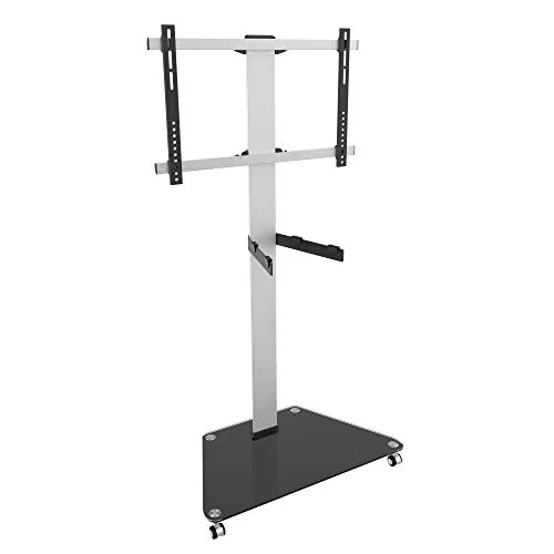 RICOO Mobiler TV-Ständer FS0300 mit Rollen und Ablage von Ricoo