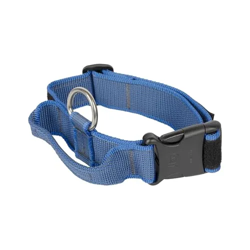 JULIUS K-9 Color & Gray K9-Halsband mit Haltegriff von JULIUS-K9