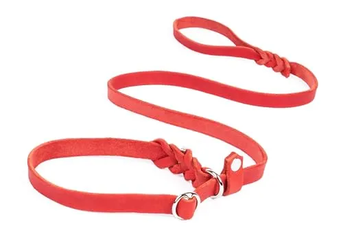 CopcoPet Retrieverleine mit Zugstopp für kleine Hunde – 1,20m x 10mm Moxonleine in Rot – Fettlederleine & Agilityleine aus Leder – stufenlos verstellbar, Handarbeit, verchromt, wetterfest