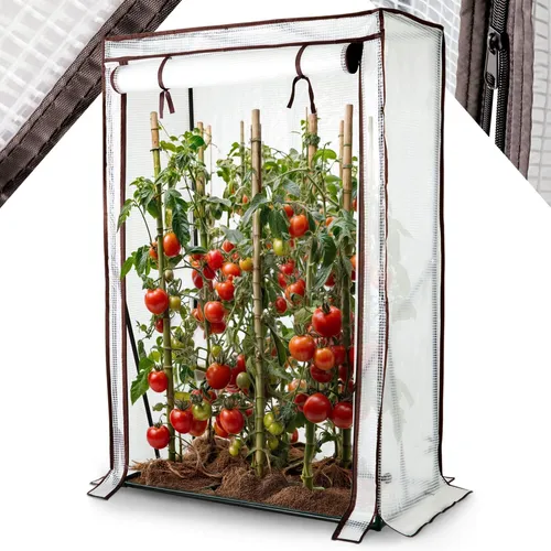 Arebos Tomatengewächshaus 100x50x150 cm - Gewächshaus für ganzjährigen Pflanzenschutz, inklusive rollbarer Reißverschluss-Tür und stabilen Stahlrahmen für hohe Langlebigkeit.
