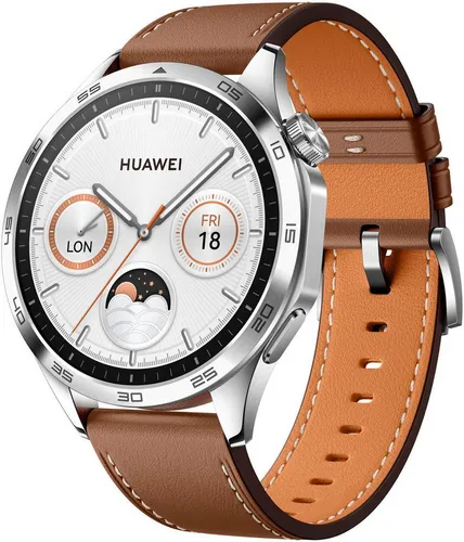 Huawei Watch GT 4 Silber Braun 46 mm in braun von Huawei