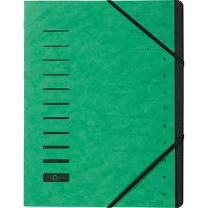 Pagna 40059-03 A4 Ordnungsmappe 12 Fächer grün