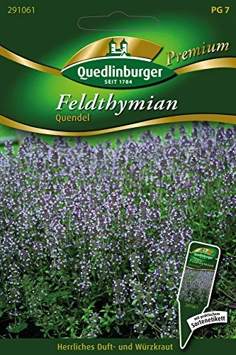 Feldthymian, Quendel